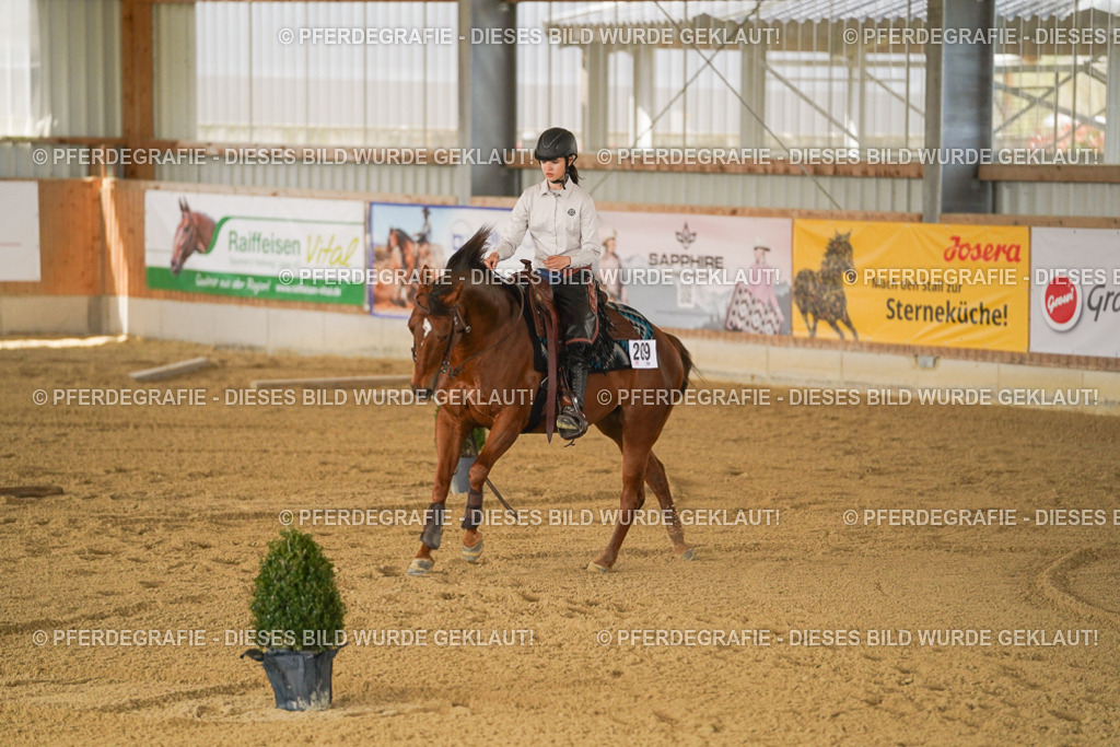 DSC05995 | Pferdegrafie