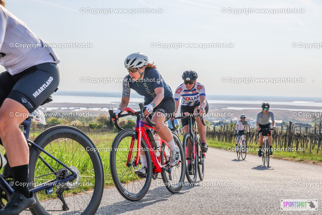007A9152 | Neusiedlersee Radmarathon #neusiedlerseeradmarathon #neusiedlersee #nrm26 #yourpictrs #sportshot_your_pictrs