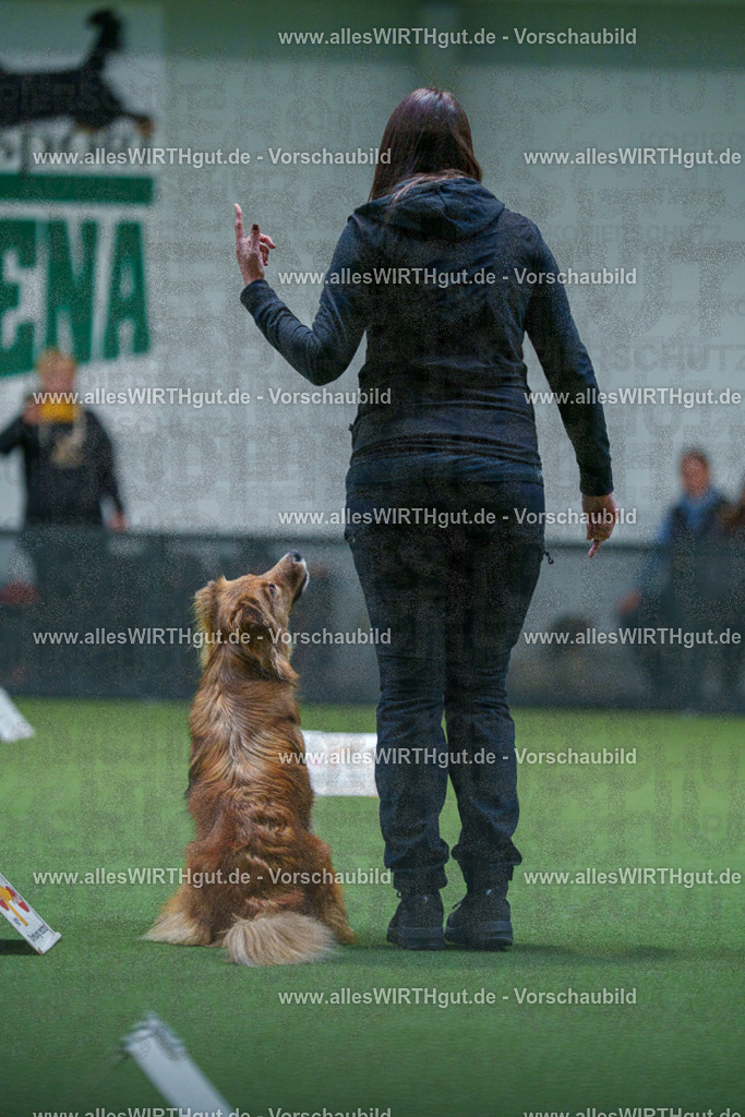 7R502976 | Professionelle Tierfotografie in Mönchengladbach von Daniel Wirth (allesWIRTHgut). Liebevolle & natürliche Bilder von Hunden & Katzen für unvergessliche Erinnerungen.