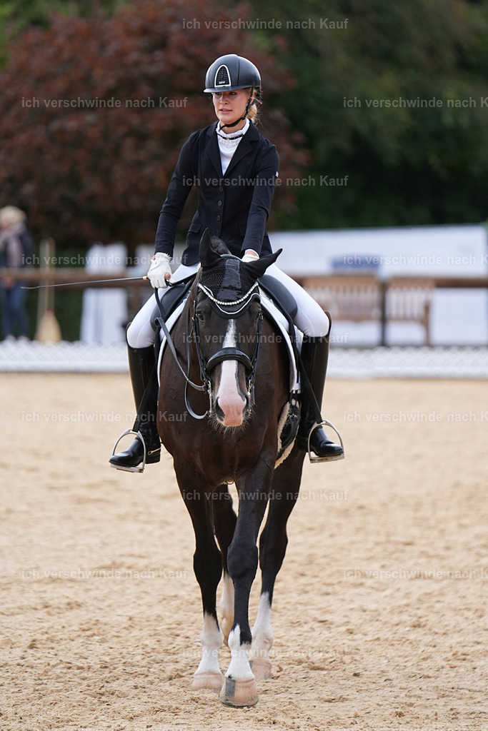 3-147-Dressur M_-Marixx-1888 | working equitationturnier fotograf videograf stoibphotography marixx film working equitation deutschland reitsport turnierfotografie eventfotografie equestrian events