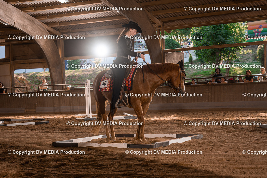 NE101218 | dv-media-shop - Realisiert mit Pictrs.com