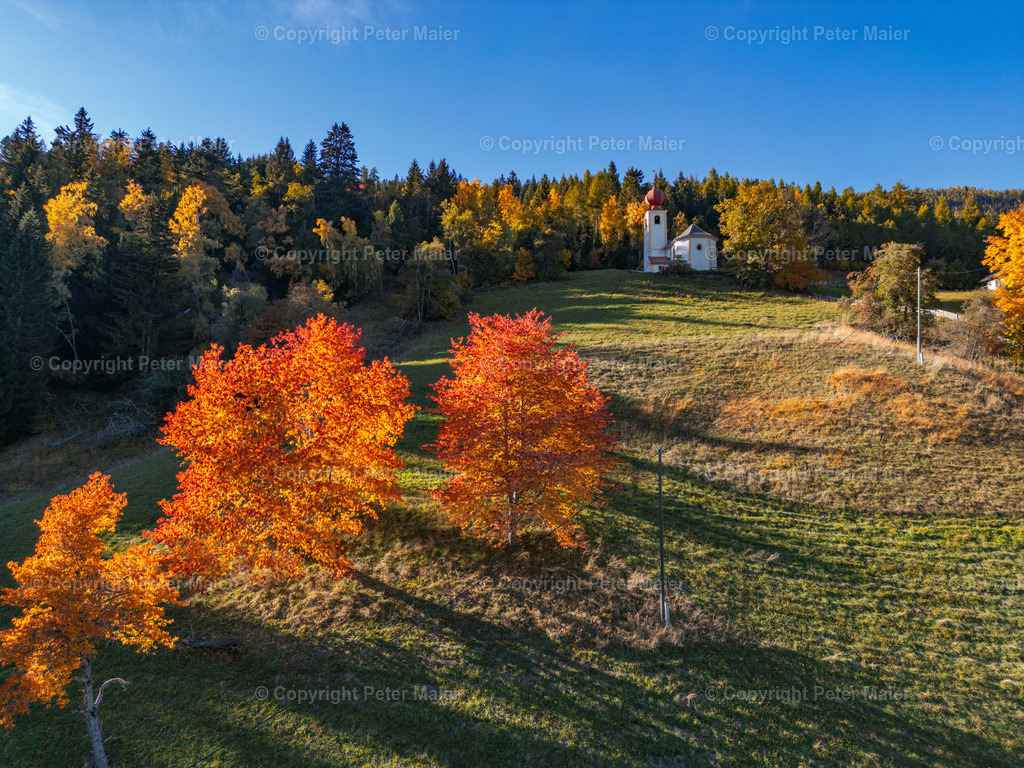Winklern_Herbst_22-4 | piet_flosse