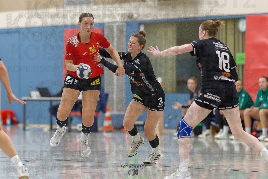 Frauen Regionalliga (HHV); HSG Wettenberg - HSG Twistetal | Frauen Regionalliga (HHV); HSG Wettenberg - HSG Twistetal am 08.11.2025 in Launsbach (Wettenberg) (Halle GS Launsbach (Wettenberg))Photo © 2025 - Jörg Heinrich - Realisiert mit Pictrs.com