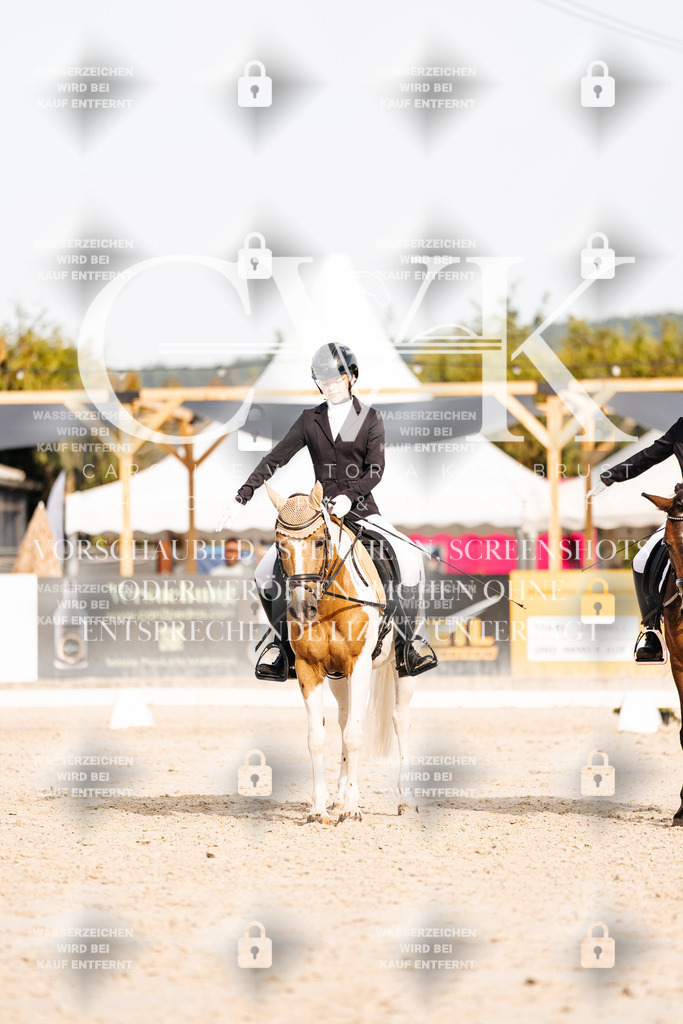 CK904750 | Turnierfotografie Pferdefotografie Trier Rheinland-Pfalz Pferdesport Reitsport Tierfotografie Sportfotografie Pferdevideo Pferdevideografie Equestrianvideography equestrianphotography  - Realisiert mit Pictrs.com