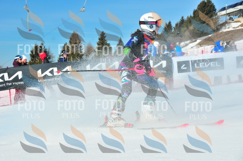 DSC_3782 | holidayphoto