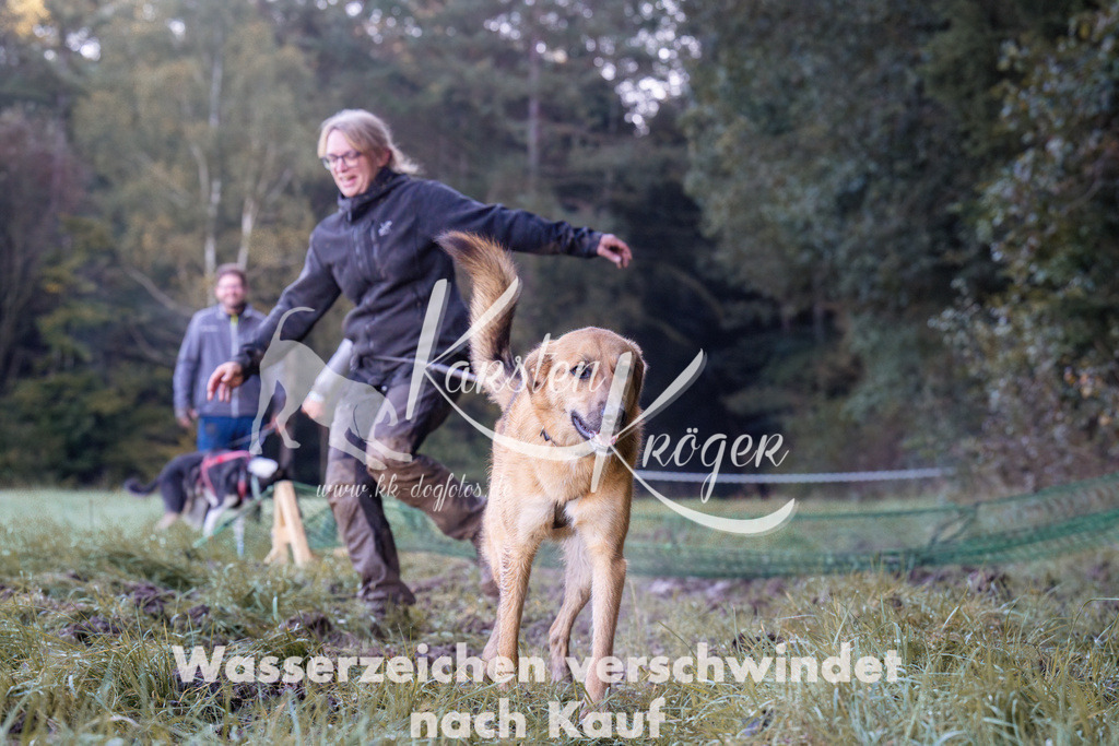 0858_ZZ91383 | kk-dogfotos