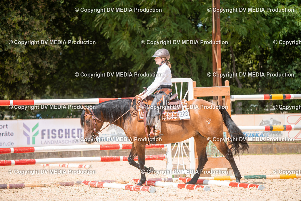 EWP_6643 | dv-media-shop - Realisiert mit Pictrs.com