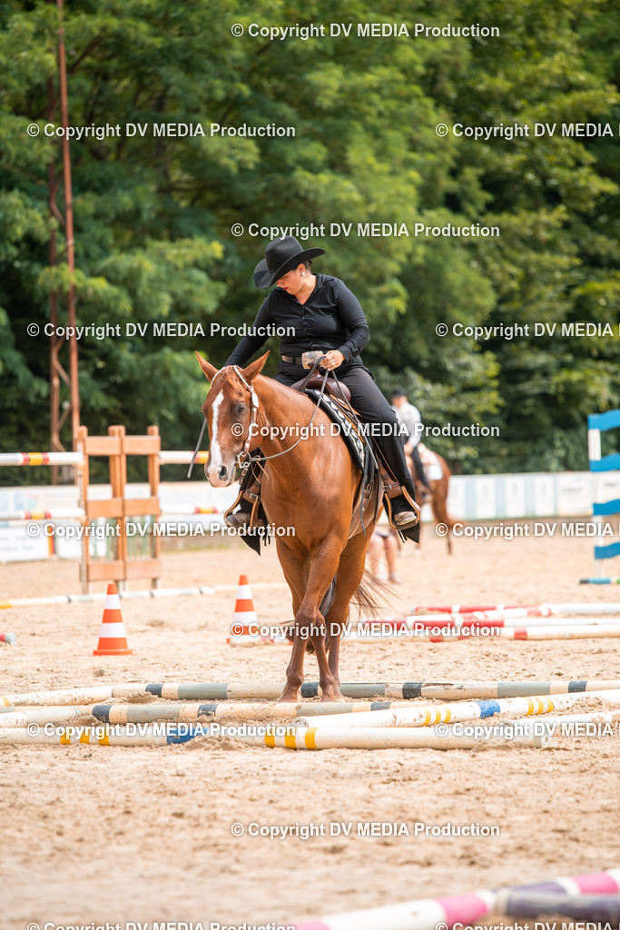 ZS2_7969 | dv-media-shop - Realisiert mit Pictrs.com