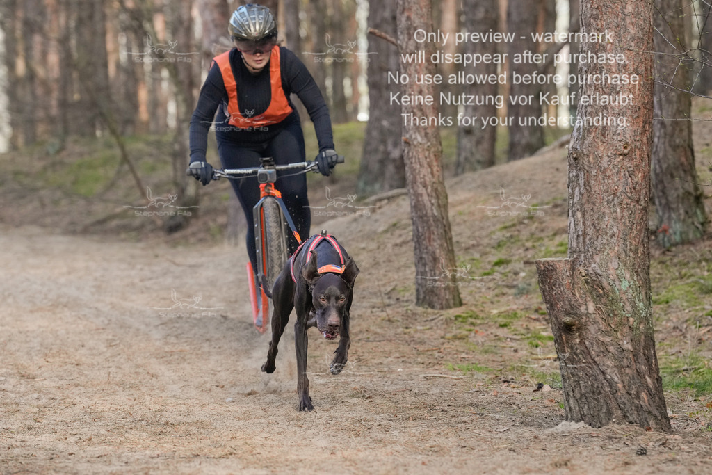 Scooter2-30 | stephaniefillaphotographie - Realisiert mit Pictrs.com