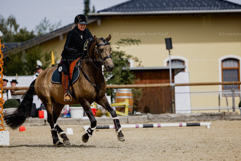 Katja7_FHC2025-20244 | working equitationturnier fotograf videograf stoibphotography marixx film working equitation deutschland reitsport turnierfotografie eventfotografie equestrian events