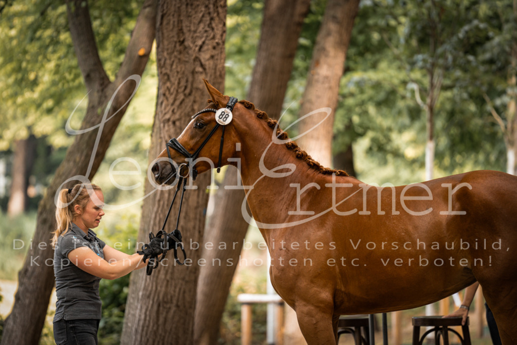 FrPfM00102 | Leoni Ertmer Photography - Realisiert mit Pictrs.com