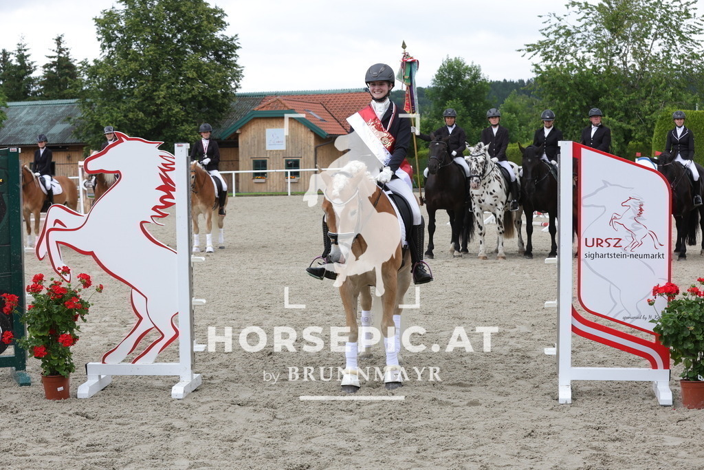 0P6A9280 | Willkommen bei Brunnmayr - Design & Fotografie – Ihrem Spezialisten für Reitturniere und Pferdeveranstaltungen in Oberösterreich, Salzburg und Bayern! Seit über 17 Jahren sind wir leidenschaftlich dabei.