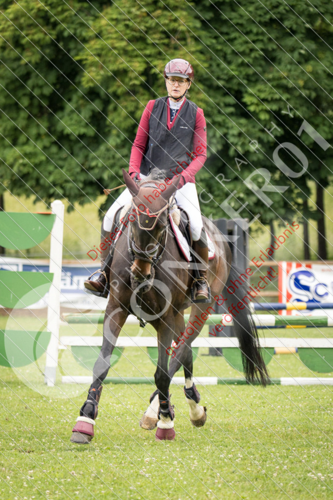 IMG_2246 | Sport-, Event- und Tierfotos in Profiqualität. Einfach auswählen, bestellen und herunterladen. Dein Moment – perfekt festgehalten.