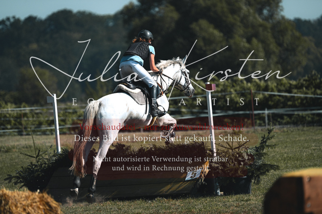 DSC_7958 | Pferde- und Turnierfotografie in Westsachsen. Pferdeportraits, Auftragszeichnungen und intuitive Kunst.