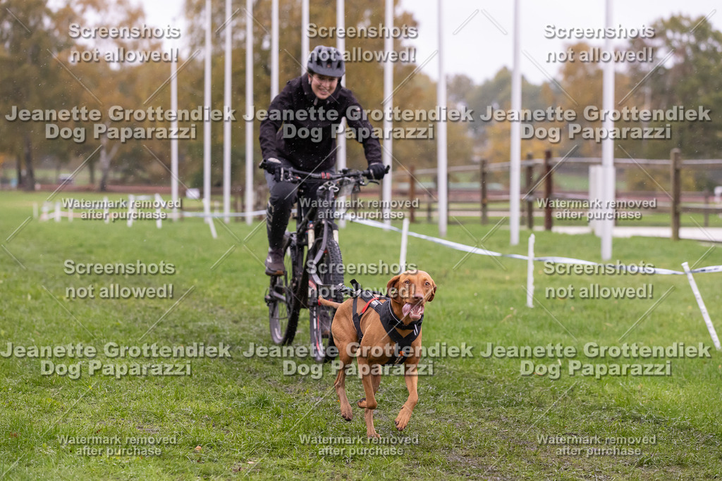 Dog Paparazzi - SD CaniX Championship 2025-946 | Dog Paparazzi Jeanette Grottendiek Fotografie & Videografie - Realisiert mit Pictrs.com