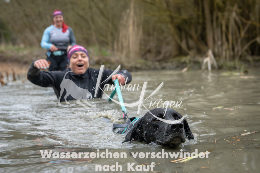 1340_ZZ91545 | kk-dogfotos