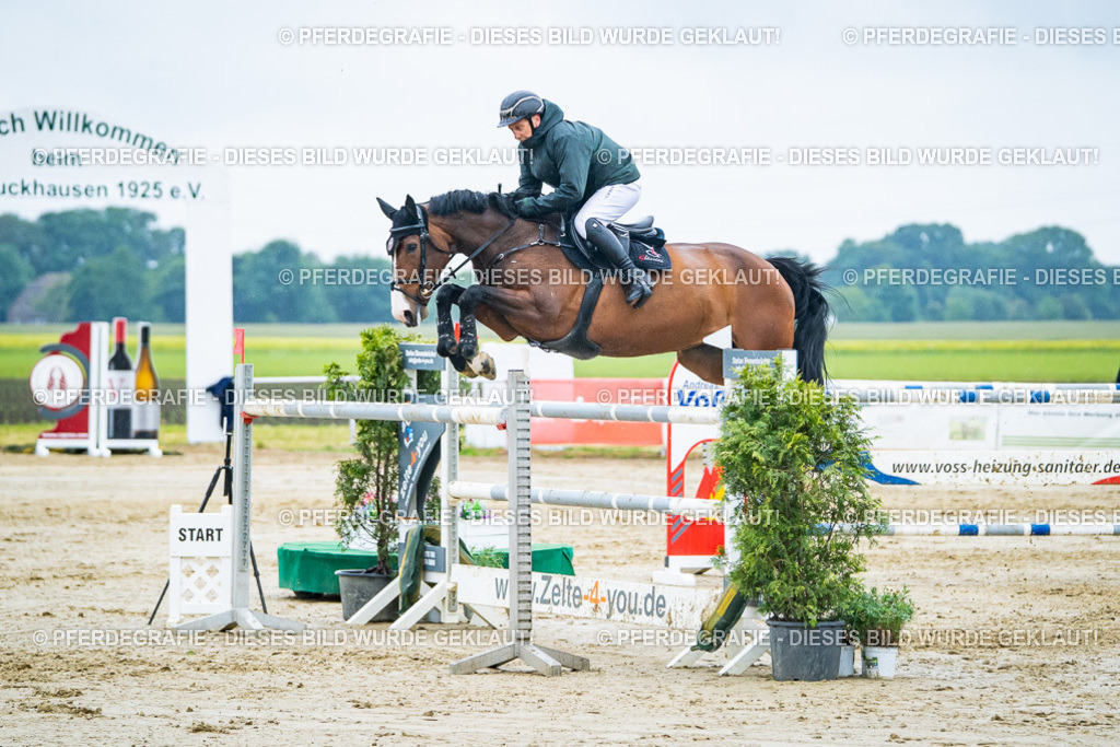 DSC00253 | Pferdegrafie