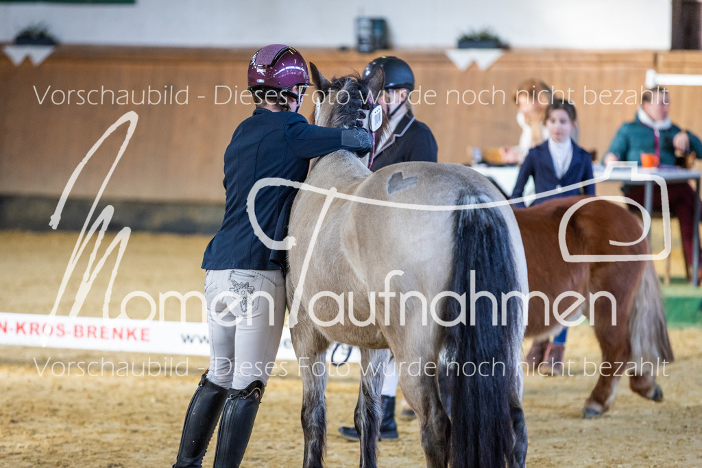 Sth-WBO25-Führ-WB-083 | MomenTaufnahmen Pferdesportfotos