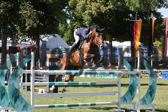 Bietigheim_2025_Prfg.Nr.17_Springpferdeprfg.Kl.L_Benjamin Wulschner_Tailormade Qitura Blue PS (2) | Alle Fotos der Reiterjournal Fotografin Doris Matthaes im Reiterjournal Online-Fotoshop. - Realisiert mit Pictrs.com
