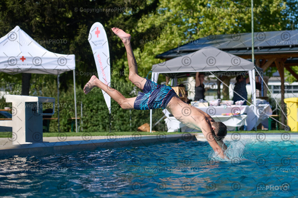 118_202509_4Hundebadetag_NZ9_2479 | proPHOTO - Realisiert mit Pictrs.com