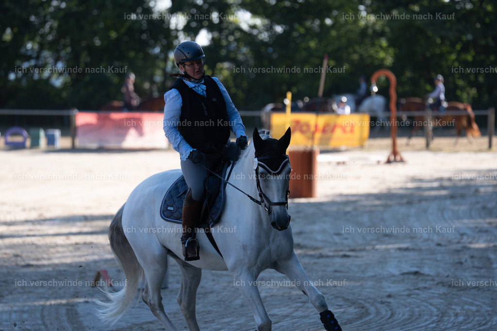 WL_SP_47_SinaFilmArt_IN05253 | working equitationturnier fotograf videograf stoibphotography marixx film working equitation deutschland reitsport turnierfotografie eventfotografie equestrian events
