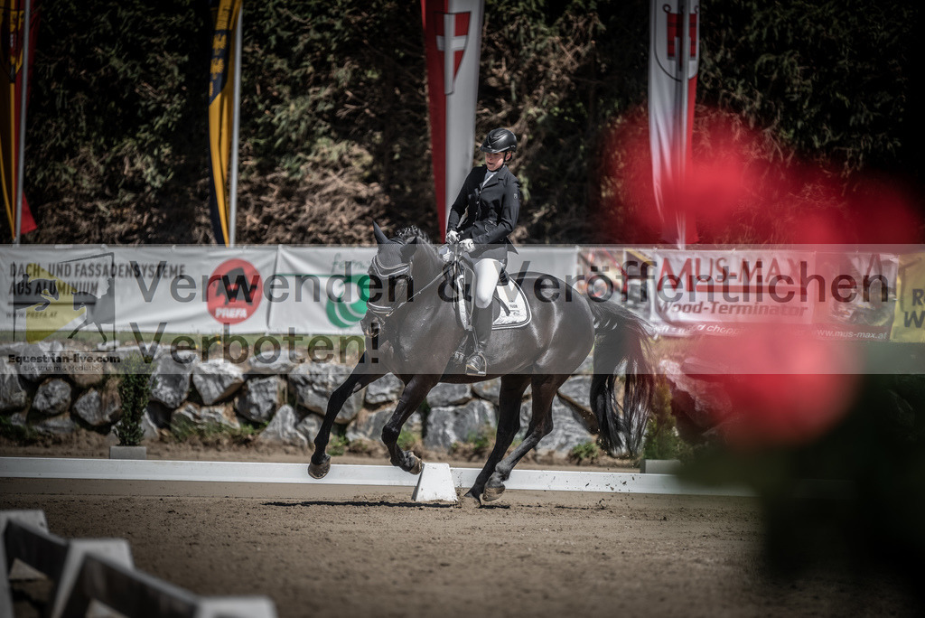 DSC_0179 | equestrian-live-com