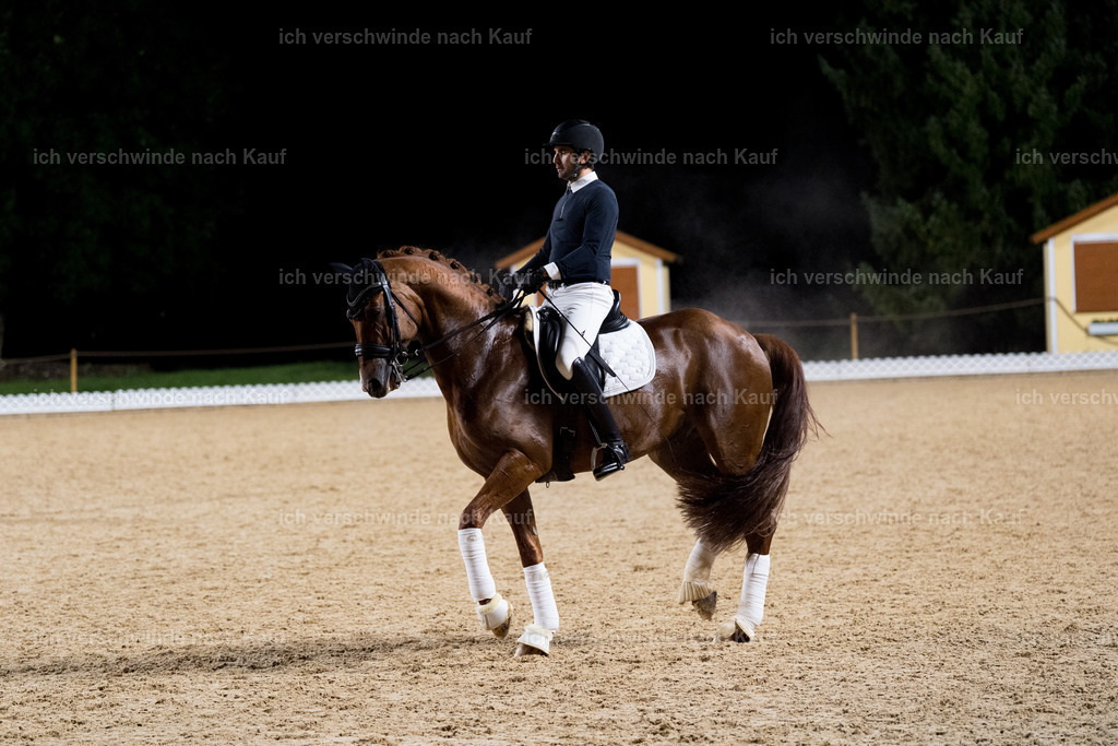 FHC2025 Isabell Werth-9987 | working equitationturnier fotograf videograf stoibphotography marixx film working equitation deutschland reitsport turnierfotografie eventfotografie equestrian events