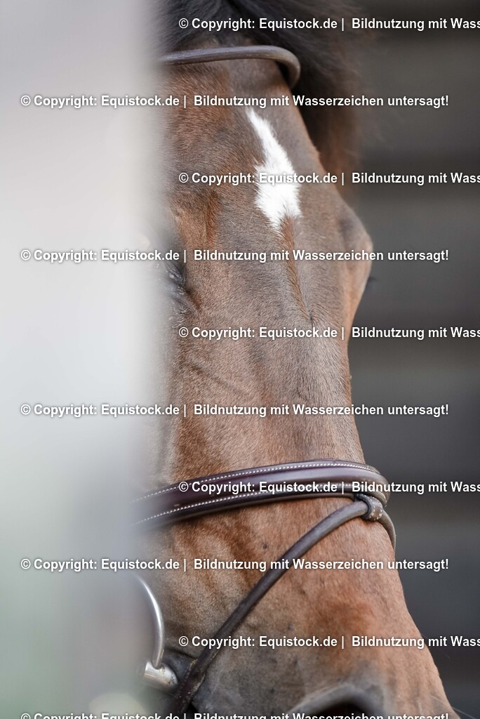 20250608_16_Quali-GP_Hess-Min-Präs_0229 | Foto: Thomas Hartig