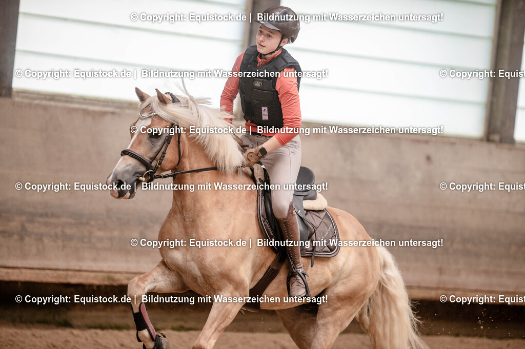 20250725_Vielseitigkeitslehrgang-Marbach_0201 | Foto: Thomas Hartig