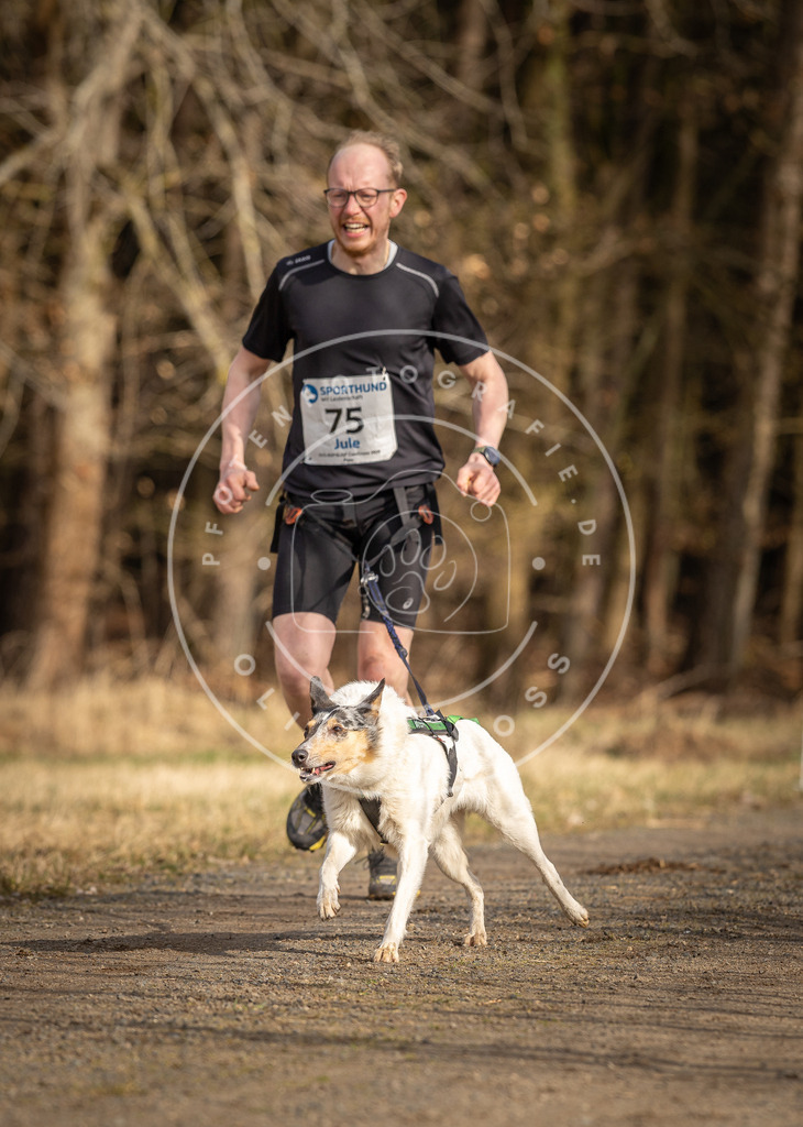 DV3A3701 | Hundefotografie, Tierfotograf, Pfotenfotografie, Fotoshooting Hund, Hunde Portrait, Hundesport, Hundeportraits, Heideshooting, Hunde, Sportfotograf, Hundefotograf, Turnierhundsport, THS,  - Realisiert mit Pictrs.com