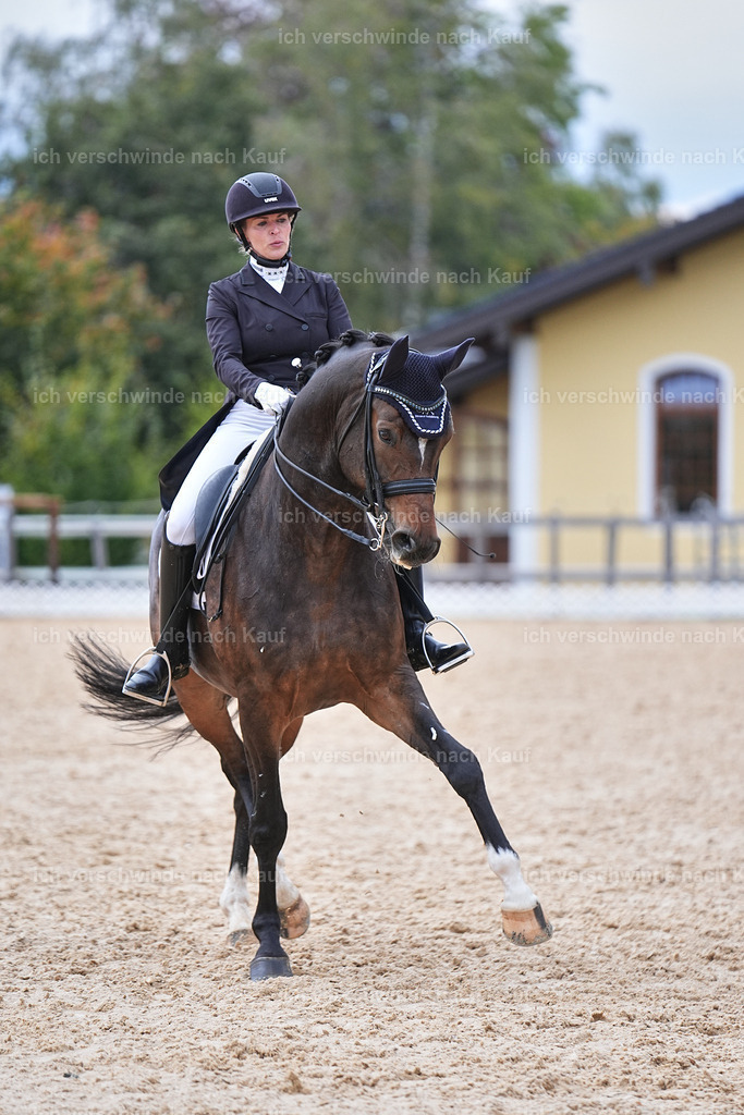 12-074-DRESSUR  S___  -Marixx-5247 | working equitationturnier fotograf videograf stoibphotography marixx film working equitation deutschland reitsport turnierfotografie eventfotografie equestrian events