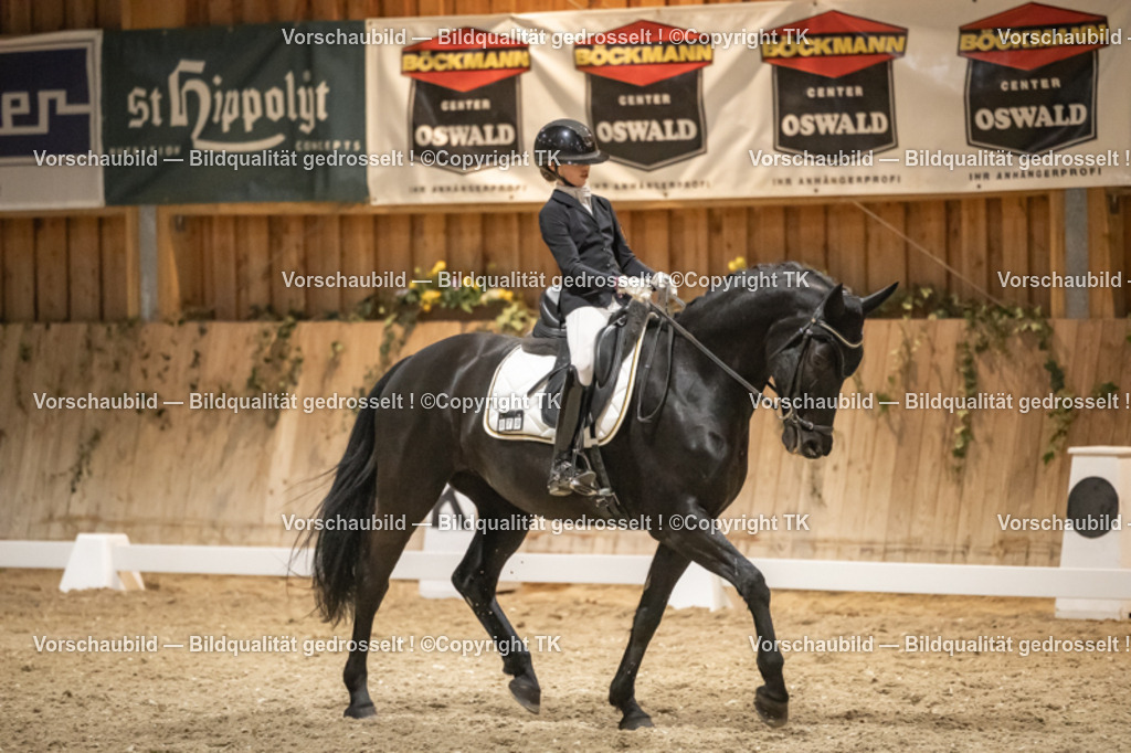 _D5A0709 | Emotionale Pferde- & People-Fotografie rund um Heidelberg, Leimen & Umgebung. Natürliche Fotos von Pferd, Mensch & Familie. Jetzt Termin sichern!