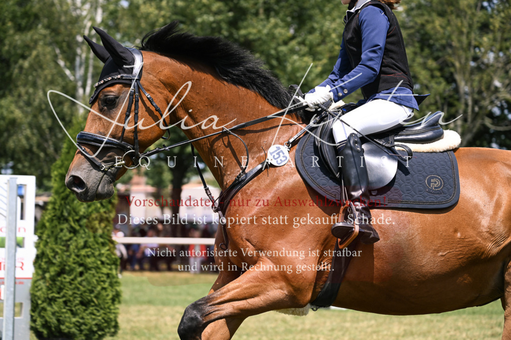 DSC_9317 | Pferde- und Turnierfotografie in Westsachsen. Pferdeportraits, Auftragszeichnungen und intuitive Kunst.