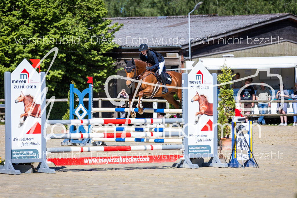 Donop24-A2Spr-085 | MomenTaufnahmen Pferdesportfotos