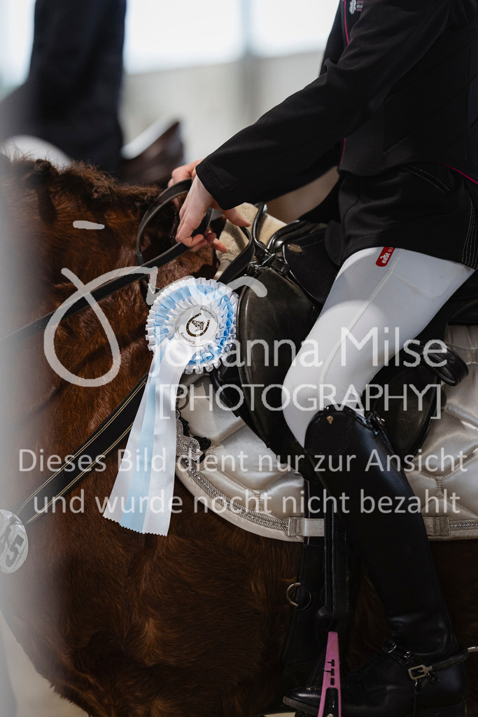 240316_Borgholzhausen_StilspringWB-437 | Deine schönsten Turniermomente als professionelle Fotos! Entdecke hochwertige Pferdesport-Fotografie im Online-Shop. Jetzt Fotos finden & bestellen!