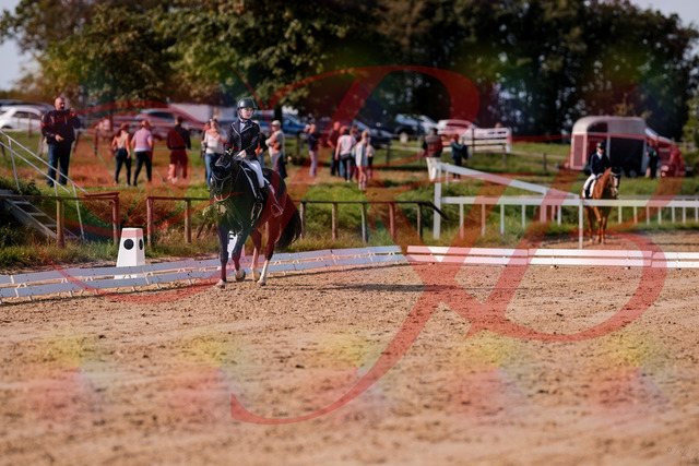 2026_10_03_Siefer-Hof_121552_Z81_17663907 | Professionelle Reitsport-, Turnier- und Eventfotografie von Robert Broda. Galerien mit ausgewählten und bearbeiteten Bildern direkt online ansehen und bestellen.