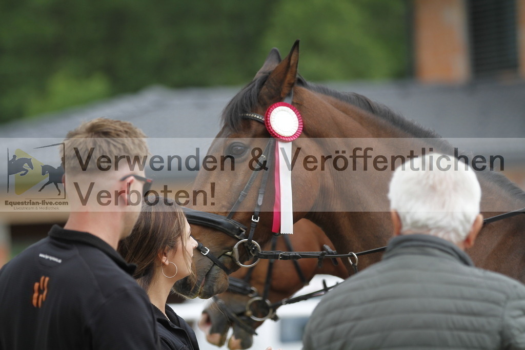 _MG_1222 | equestrian-live-com