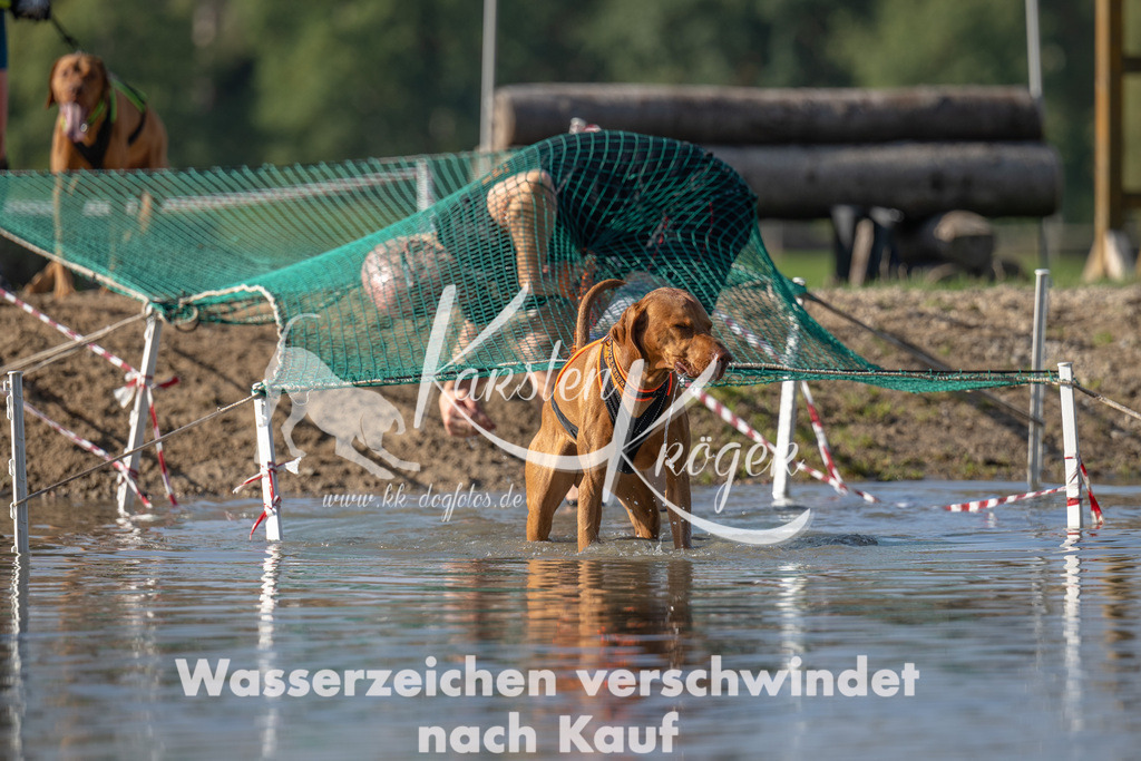1119_ZZ92265 | kk-dogfotos