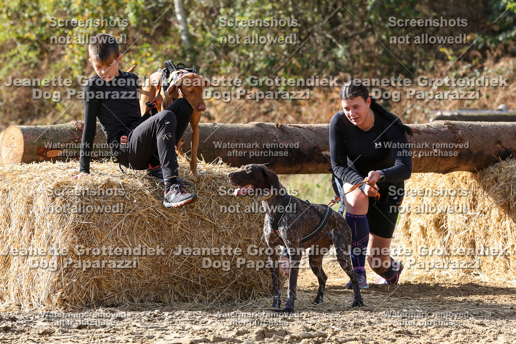 Dog Paparazzi - Strongdog 10-25-5475 | Dog Paparazzi Jeanette Grottendiek Fotografie & Videografie - Realisiert mit Pictrs.com