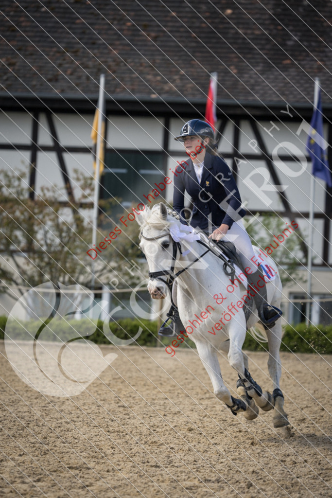 CON_0736 | Sport-, Event- und Tierfotos in Profiqualität. Einfach auswählen, bestellen und herunterladen. Dein Moment – perfekt festgehalten.