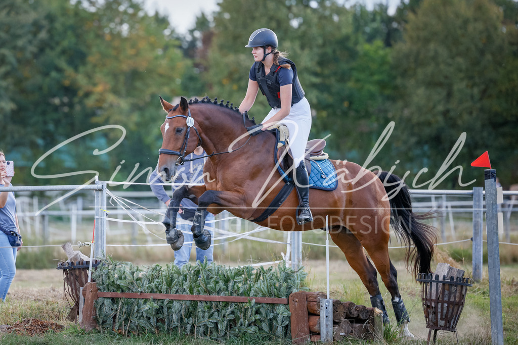20250905-_3LI2097 | Tierfotografie Pferde, Hunde, Katzen, Haustiere.
Turnierfotografie Reitturniere, Reiten, Springreiten, Dressur in Hanau, dem Main-Kinzig-Kreis und dem Rhein-Main- Gebiet um Frankfurt