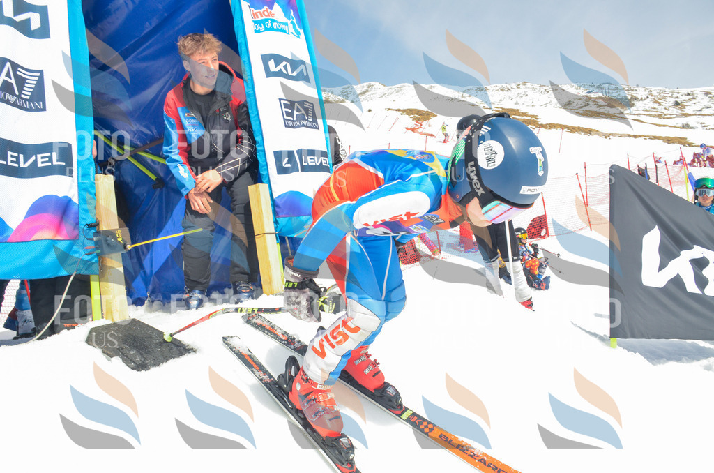 _ELE6894 | holidayphoto