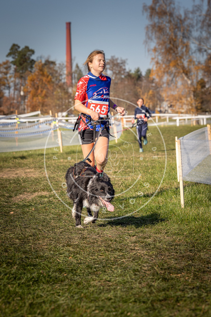 CaniXpix_0L8A7936 | Hundefotografie, Tierfotograf, Pfotenfotografie, Fotoshooting Hund, Hunde Portrait, Hundesport, Hundeportraits, Heideshooting, Hunde, Sportfotograf, Hundefotograf, Turnierhundsport, THS,  - Realisiert mit Pictrs.com