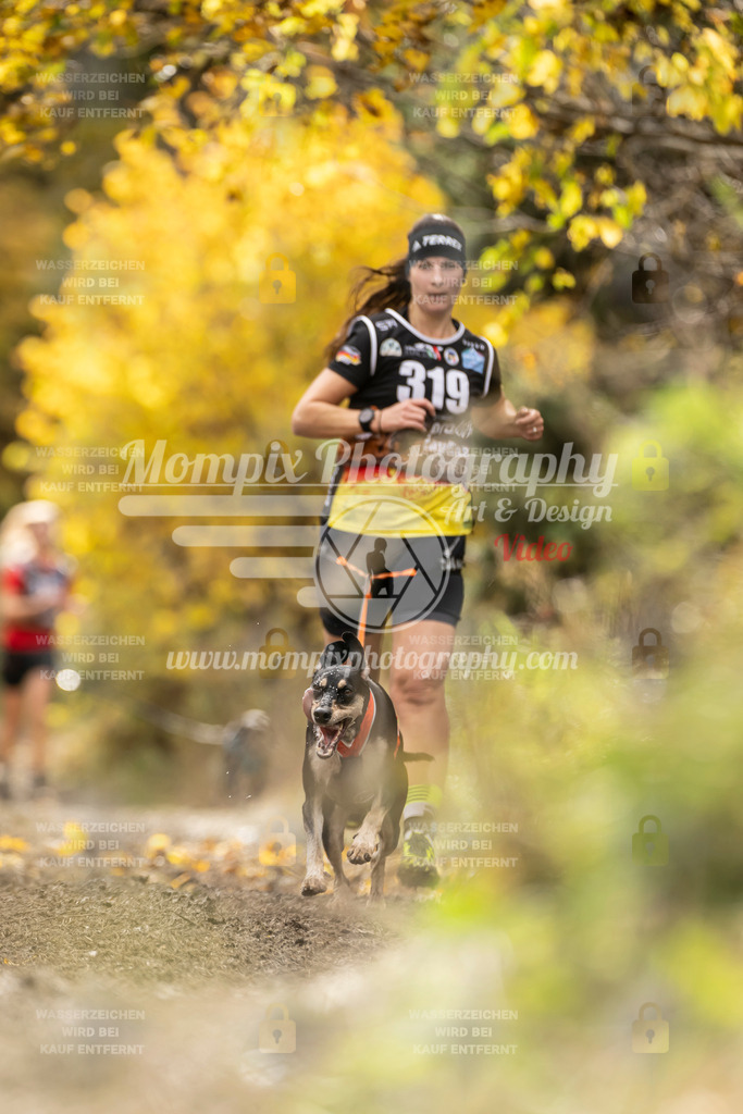 MompixPhotography_ICF_WC_2024_SA_Run_-202 | PayLife