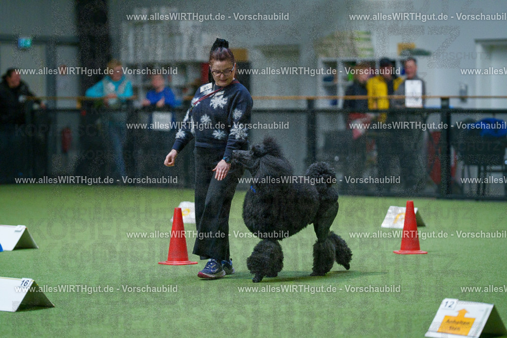 7R503452 | Professionelle Tierfotografie in Mönchengladbach von Daniel Wirth (allesWIRTHgut). Liebevolle & natürliche Bilder von Hunden & Katzen für unvergessliche Erinnerungen.