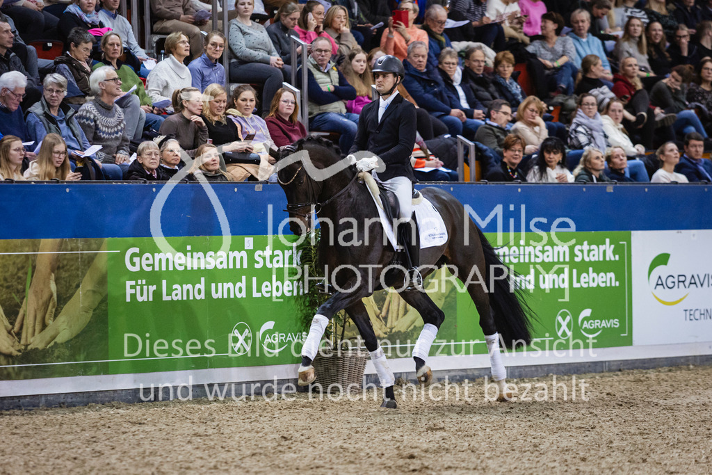 250108_Muenster_Hengstpräsentation-138 | Deine schönsten Turniermomente als professionelle Fotos! Entdecke hochwertige Pferdesport-Fotografie im Online-Shop. Jetzt Fotos finden & bestellen!