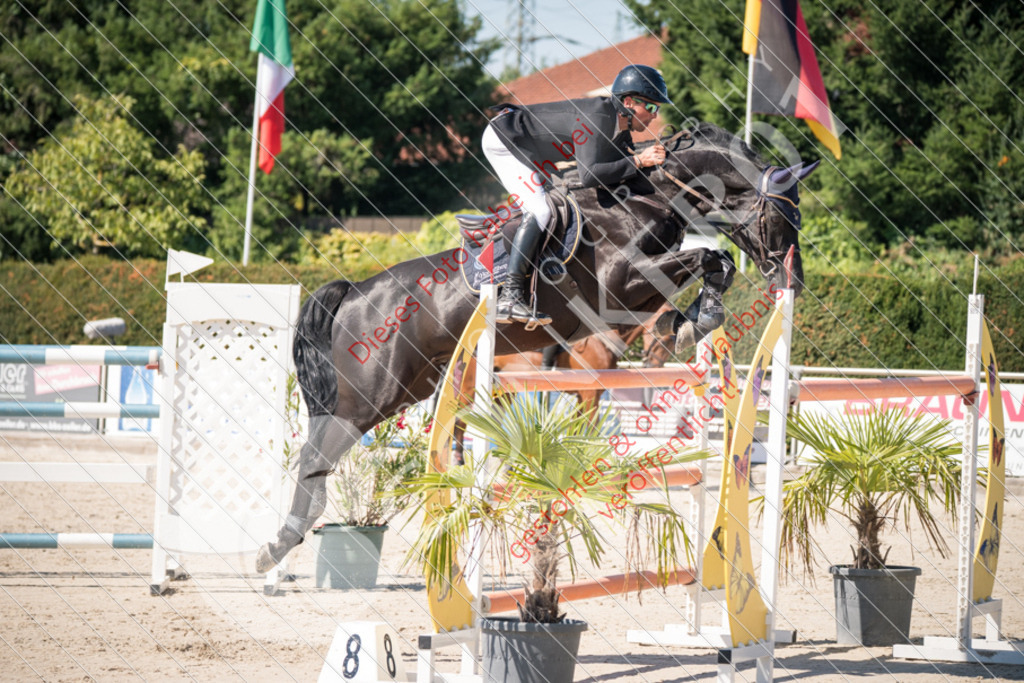 DSC_3344 | Sport-, Event- und Tierfotos in Profiqualität. Einfach auswählen, bestellen und herunterladen. Dein Moment – perfekt festgehalten.