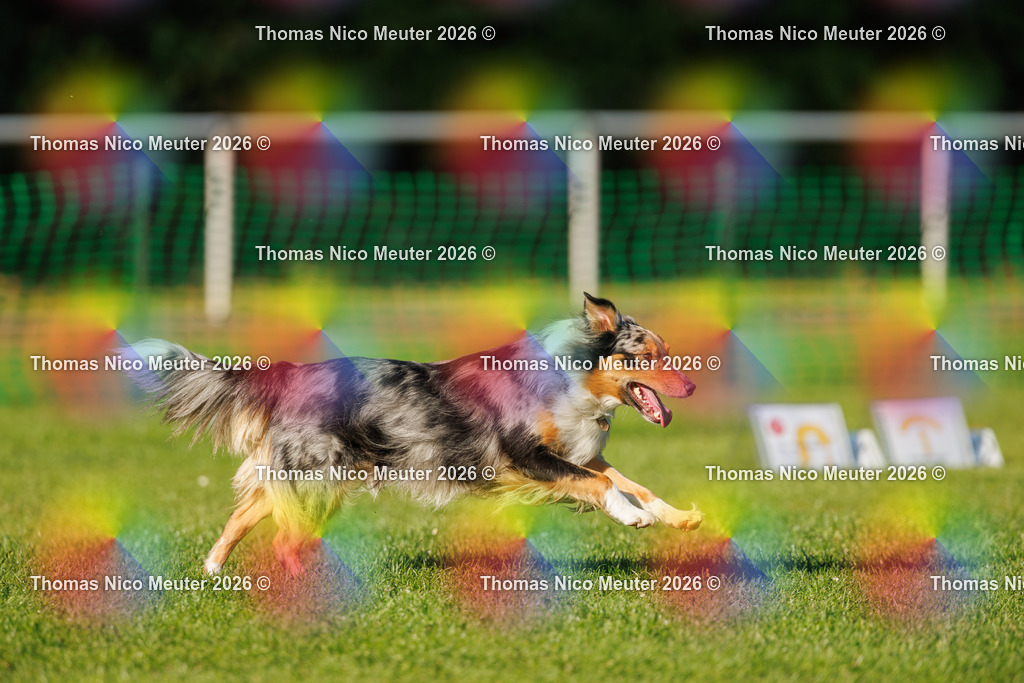 Thomas_Nico_Meuter(C)_04. Oktober 2026_223A3938 | Bild von Thomas Nico Meuter - Realisiert mit Pictrs.com