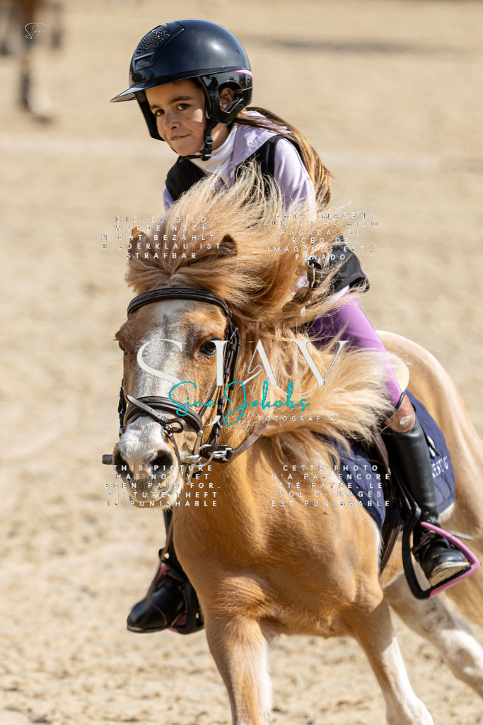 IMG_3068 | s-jay-photography - Realisiert mit Pictrs.com