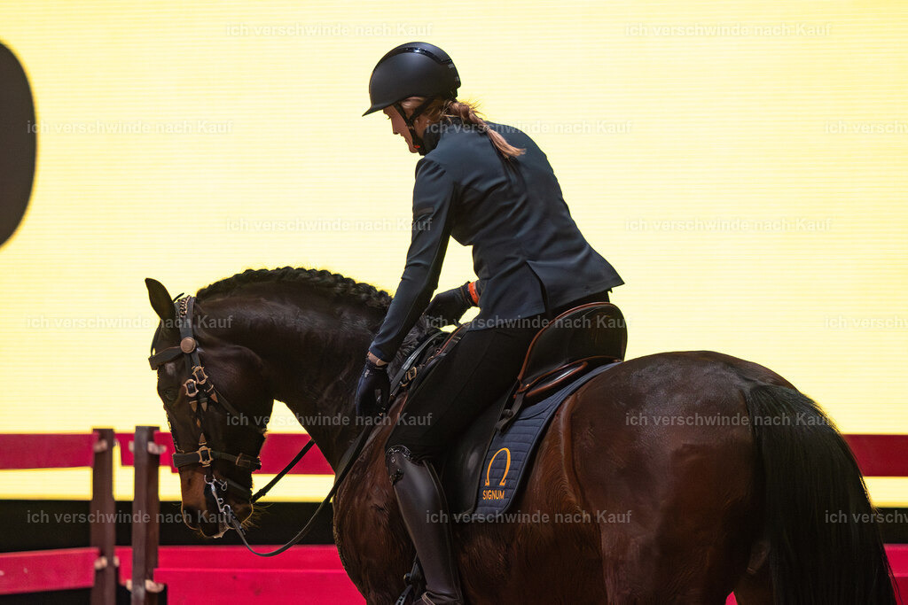 JoseraCup-89 | working equitationturnier fotograf videograf stoibphotography marixx film working equitation deutschland reitsport turnierfotografie eventfotografie equestrian events